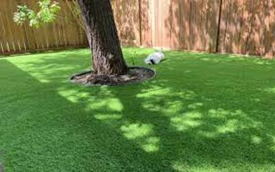 Landscaping ideas for backyards in Denver