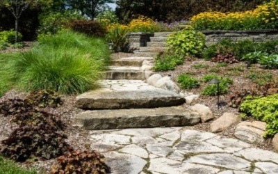 Tucson Backyard Landscaping Ideas