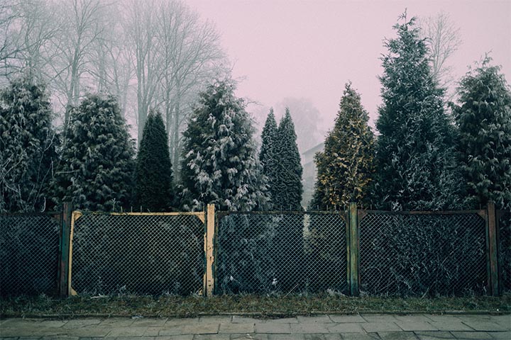 winter garden