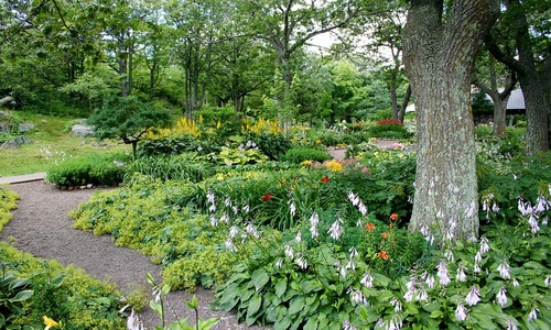 6 Ideal Anchorage Backyard Ideas (Top Rated)