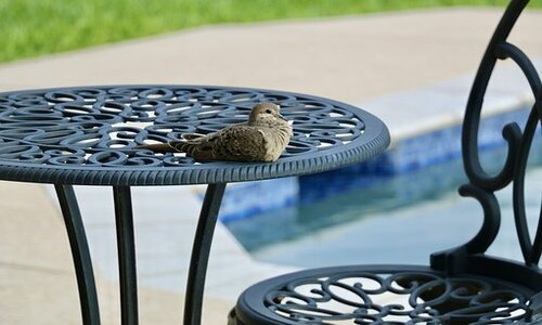 7 Unbelievable Chula Vista Backyard Ideas (Rated by Homeowners)