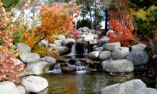 7 Ideal Columbus Backyard Ideas (That you haven't seen)