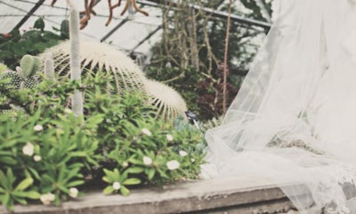 7 Charming El Paso Backyard Ideas (You’ll be Surprised)