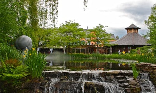 8 Unique Fort Collins Backyard Ideas (Top Rated)
