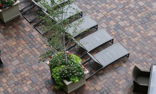 8 Famous Katy Backyard Ideas (You’ll be Surprised)