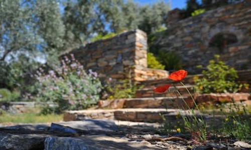 7 Fashionable Omaha Backyard Ideas (That will Surprise You)