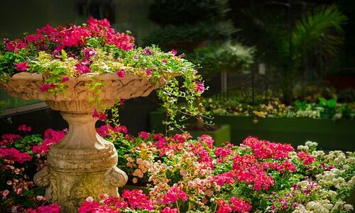 8 Alluring Virginia Beach Backyard Ideas (That you haven't seen)