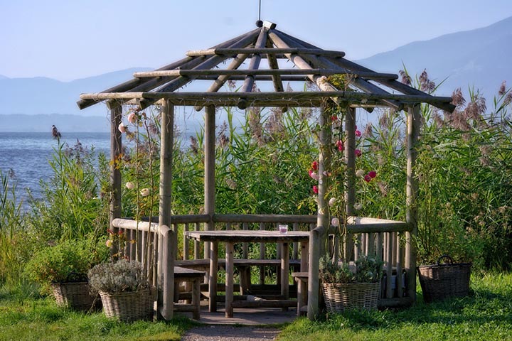 woodland masterpiece