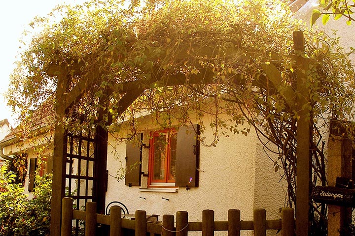 arbor covered brick