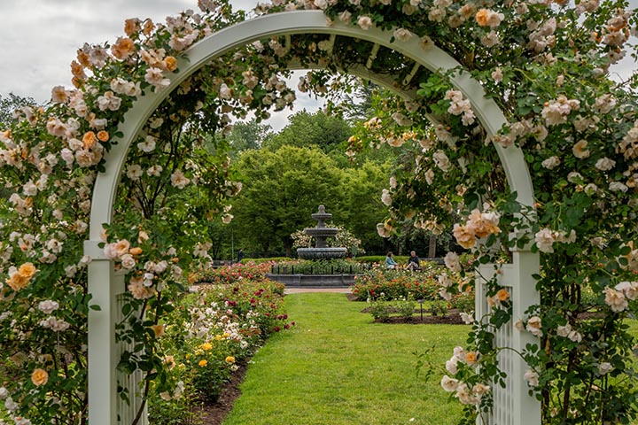 garden arches