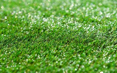 Riverside Backyard Landscaping Ideas