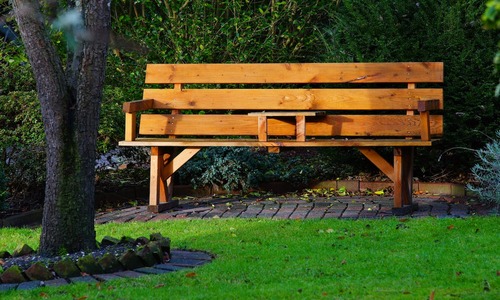 7 Exciting Chandler Backyard Ideas (Rated by Homeowners)