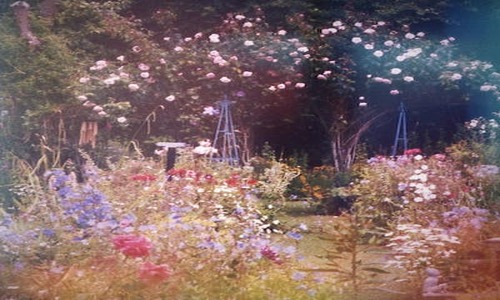 6 Unbelievable Charlotte Backyard Ideas (You’ll be Surprised)