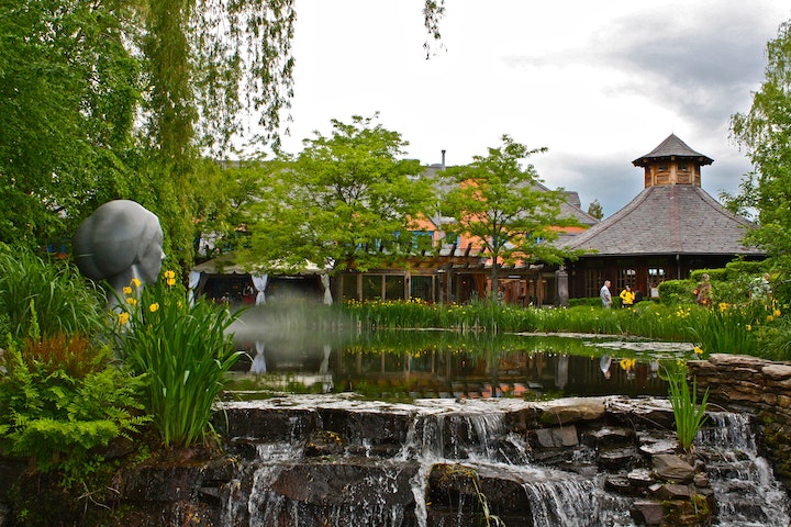 innovative landscaping