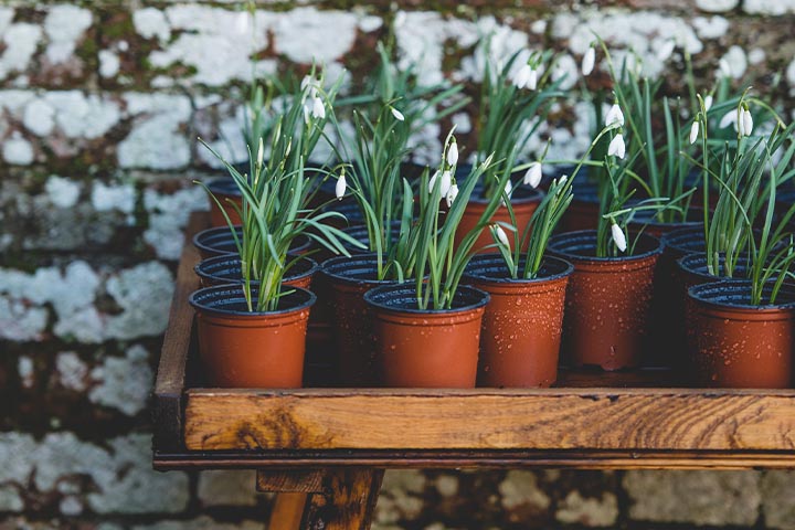 outdoor space garden
