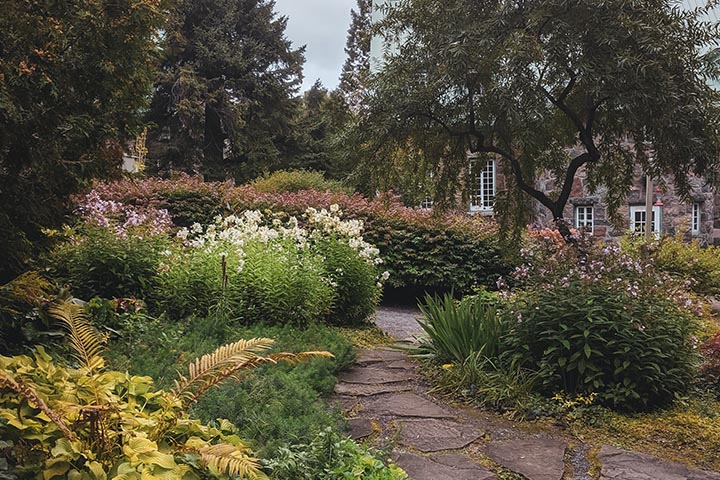 diy landscaping ideas for your home