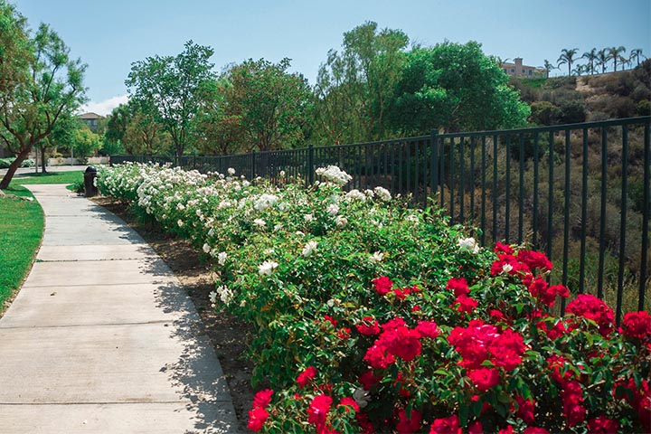 mastering the arts of garden fences