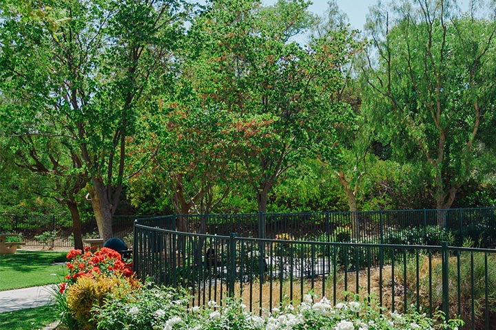 successful garden fences