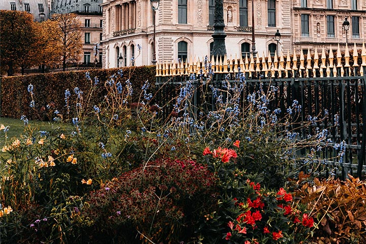 arts of garden fences