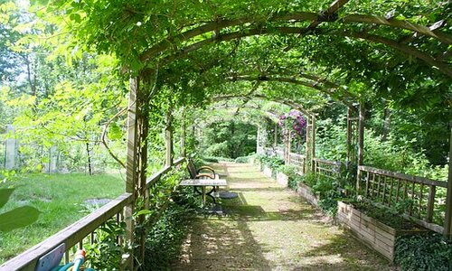 8 Cool Flagstaff Backyard Ideas (Get Your Notes Ready)