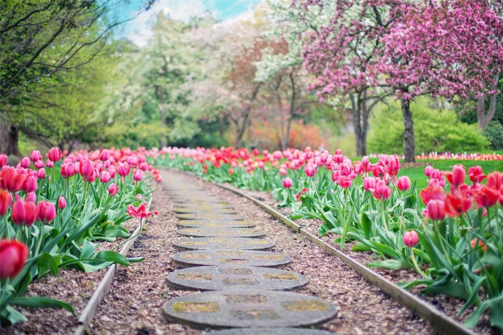 majestic flagstone path