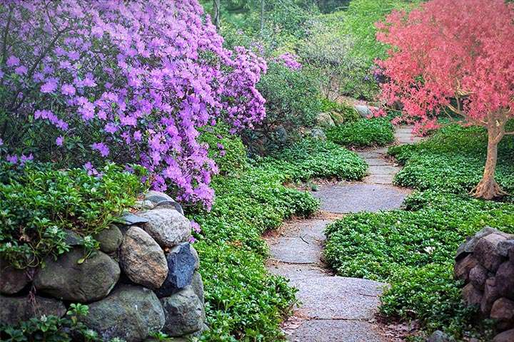 creating flagstone path