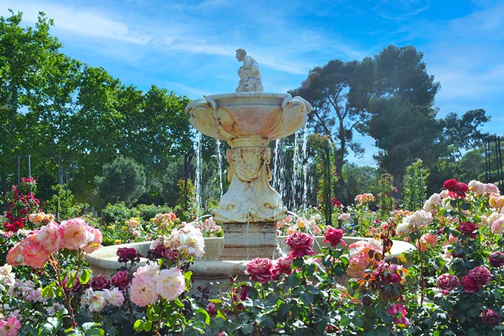 big clay pot fountain