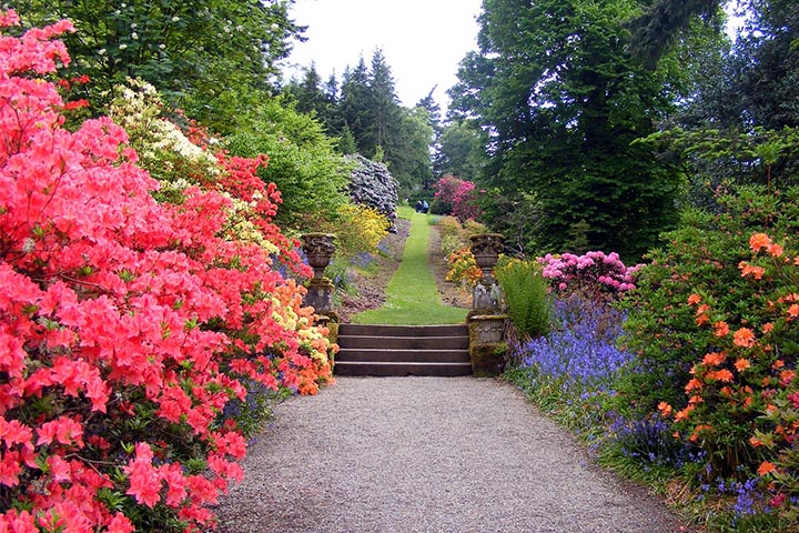 designing garden through repitition