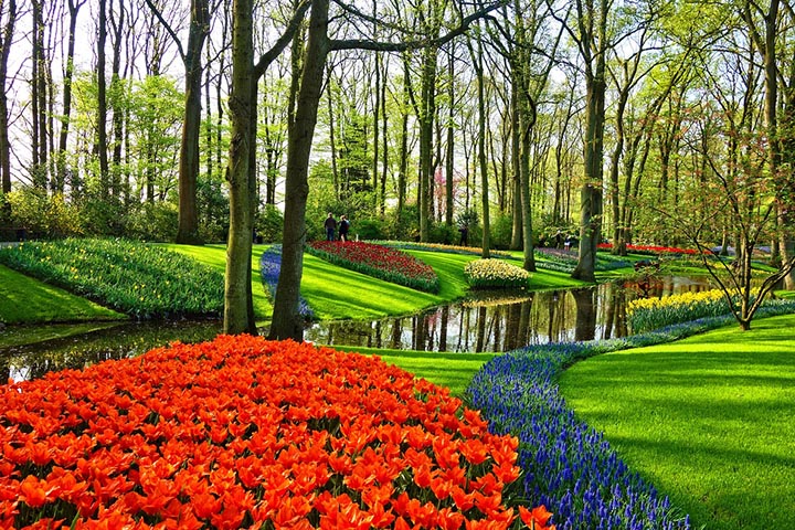 mastering plant repetition