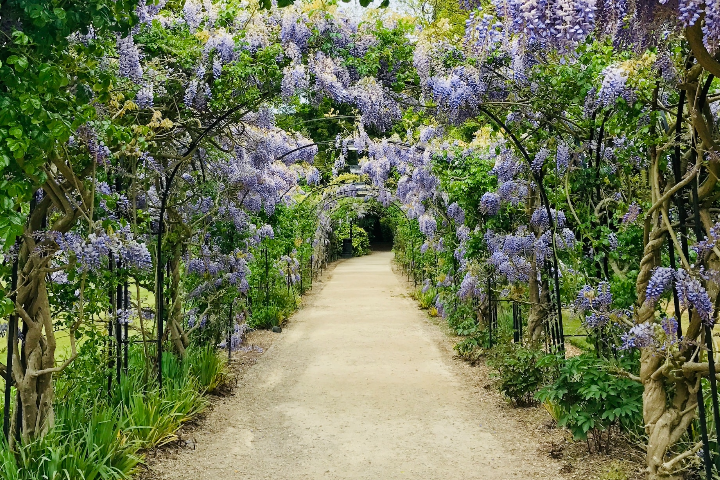 pathway garden steps