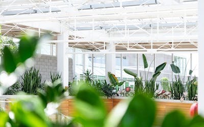 Brighton Backyard Landscaping Ideas