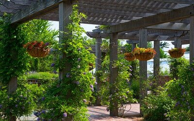 Pittsburgh Backyard Landscaping Ideas