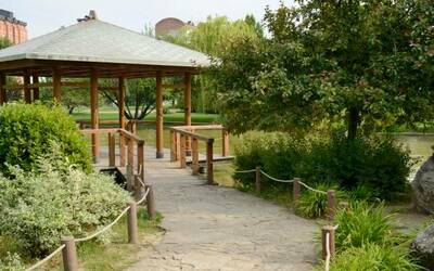 Virginia Beach Backyard Landscaping Ideas