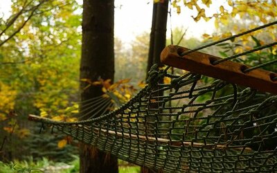 Tacoma Backyard Landscaping Ideas