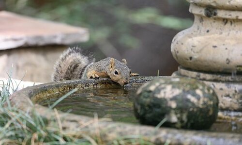 7 Unique Huntsville Backyard Ideas (Rated by Homeowners)