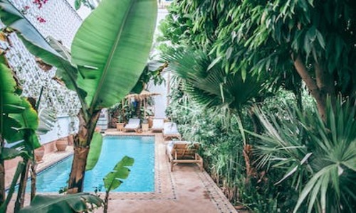 7 Cool Cleveland Backyard Ideas (Get Your Pen Out)