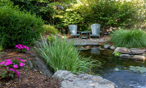 7 Popular Little Rock Backyard Ideas (Get Your Pen Out)