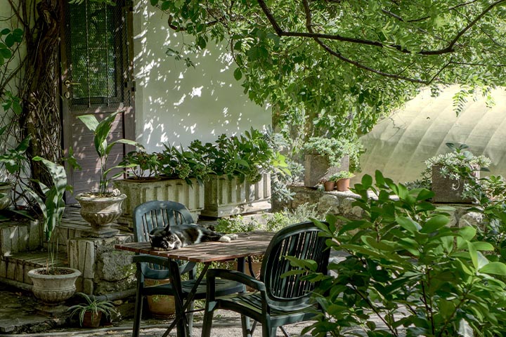 container patio