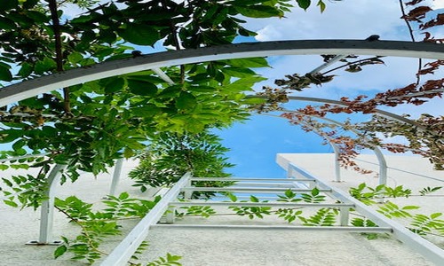 6 Inviting Macon Backyard Ideas (Get Your Notes Ready)