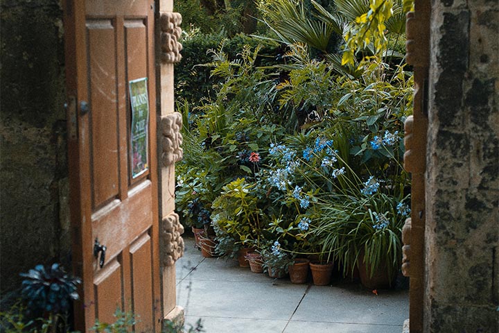 Mediterranean garden ideas