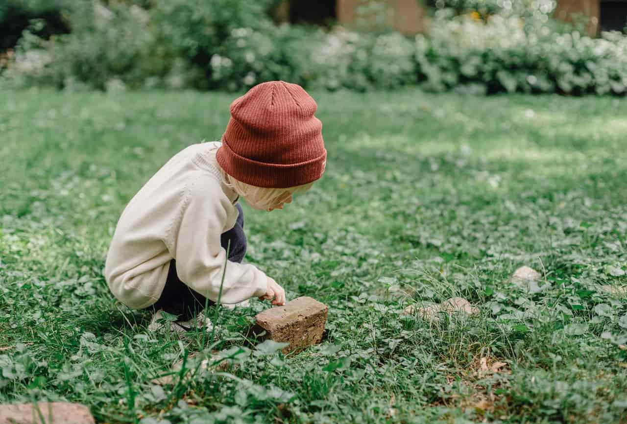 Necrotic Ring Spot Lawn Disease