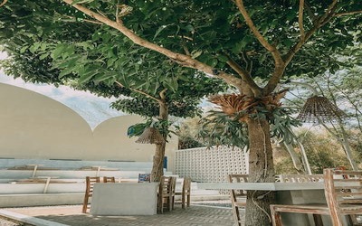 Washington Backyard Landscaping Ideas