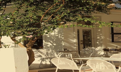 7 Exciting New York City Backyard Ideas (Rated by Homeowners)