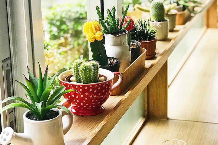 creating painted plants