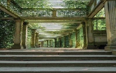 backyard ideas for landscaping