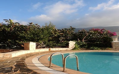 Landscaping ideas for backyards in Pittsburgh