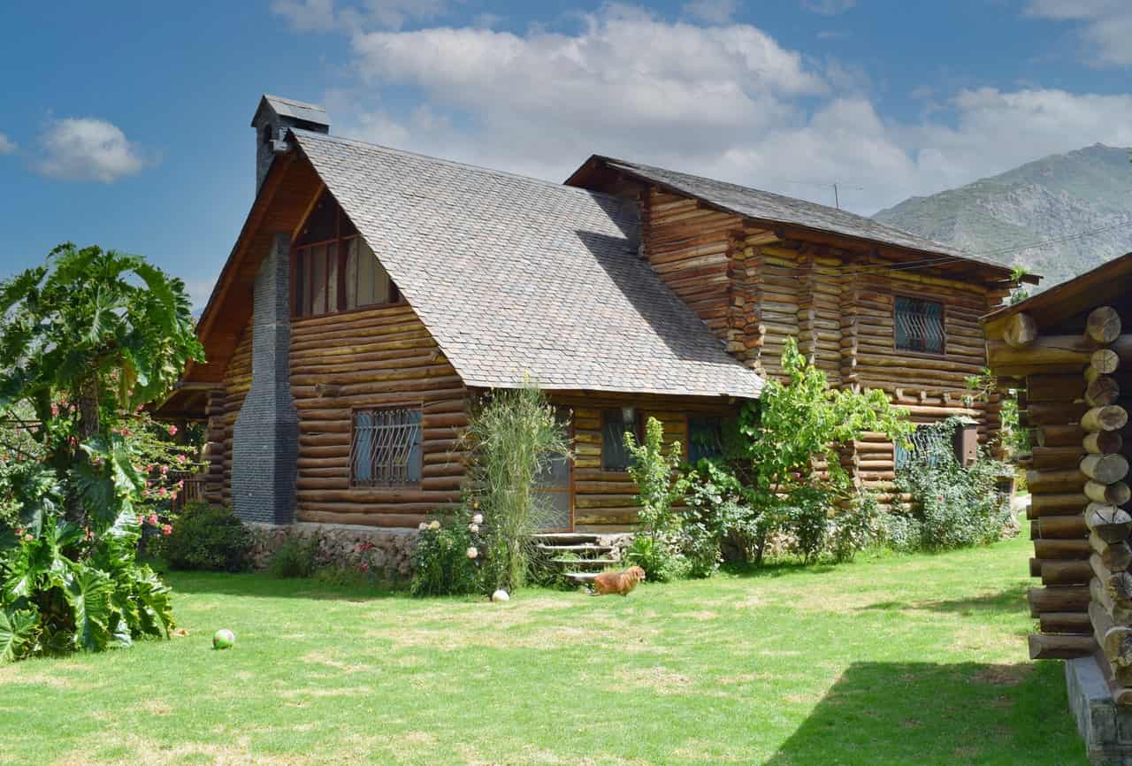 Pythium Blight Lawn Disease