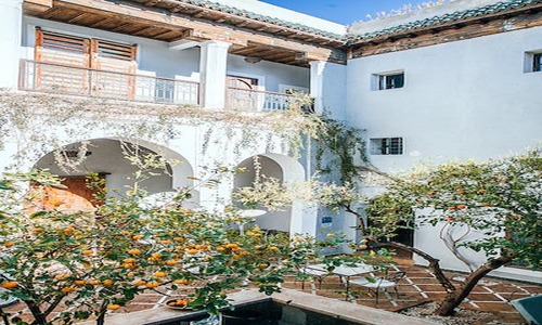 5 Lovable Raleigh Backyard Ideas (Get Your Notes Ready)