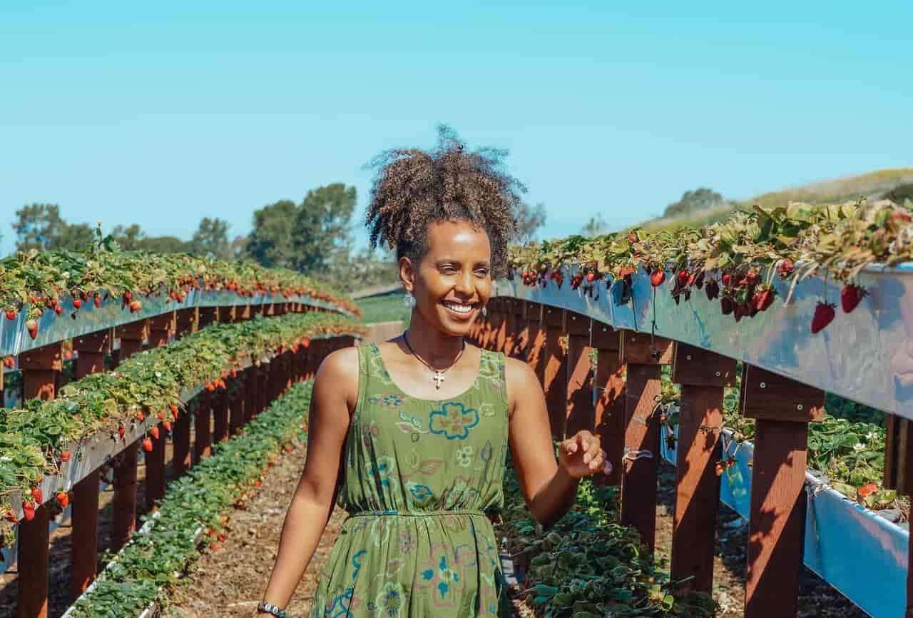 Repetition Planting Ideas For Mass Planting