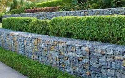 Landscaping ideas for backyards in Tucson